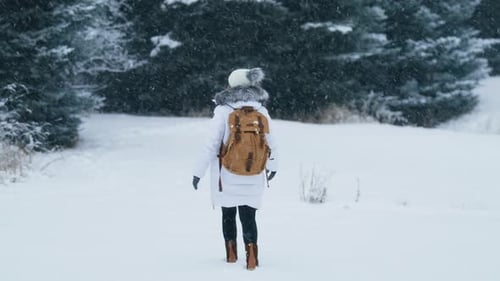 Back View of Tourist with Backpack Hiking By Snowy Forest on Winter Day RED 6K