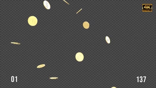 Falling Gold Coins Animation for Financial and Wealth Projects