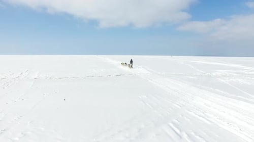 Aerial: Training sled dogs on a frozen bay in winter