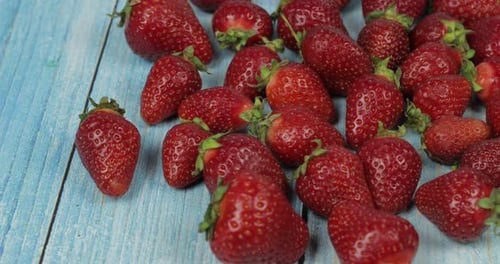 Fraises sur la table en bois bleue - Gros plan. Baies rouges biologiques fraîches et mûres