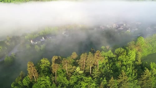 Aerial View of Forest and Village Obscured by Mist