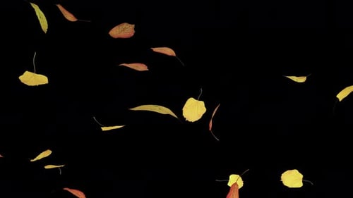Realistic Autumn Leaves Falling Seamlessly Animated Background