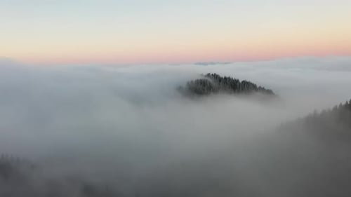 Magnificent Mountain Forest At High Altitude Flooded With Clouds