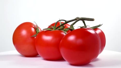 Red Tomatoes on the Vine