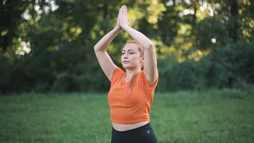 Woman Practicing Yoga in Grassy Nature Setting
