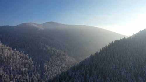 Aerial view on the mountains and forest in the winter time. Natural winter landscape from air.