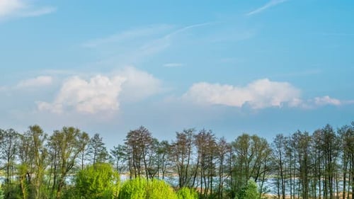 Clouds Forming Over Trees, Green Field and Swamp