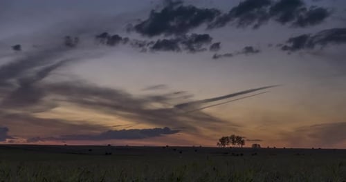 Flat Hill Meadow Timelapse at the Summer Sunrise Time. Wild Nature and Rural Field. Sun Rays, Trees