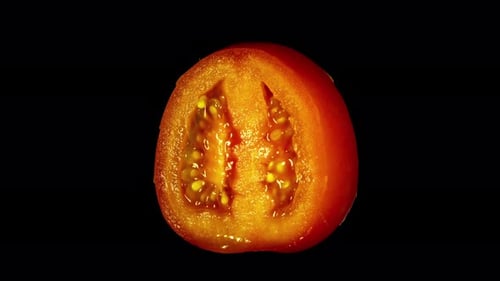 Spinning Red Tomato Half with Water Drops and Alpha Channel