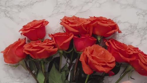Flat lay. Red roses on a marble background.