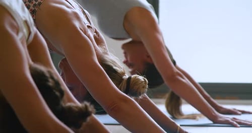 Young Women Practice Yoga in Bright Studio
