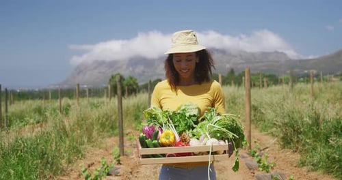 Woman Carries Vegetables in Farm Field on Sunny Day