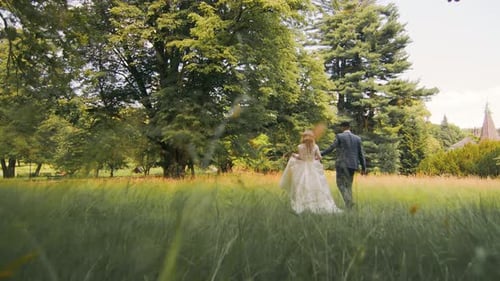 Young Wedding Couple in Love Newlyweds Walking in a Fabulous Sunny Park on a Background of Green