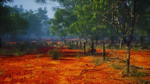 Moving Through a Red Dirt Landscape with Green Trees