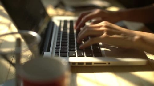 Woman's Hands Typing on Laptop in Sunlight