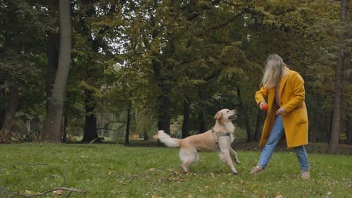 Woman Playing with Her Dog at Park Using Small Ball