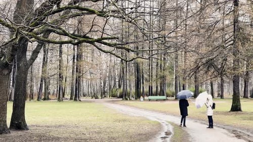 The Panoramic Footage of Spring Park at Cloudy Day is Snowing First Green Grass Walking People with