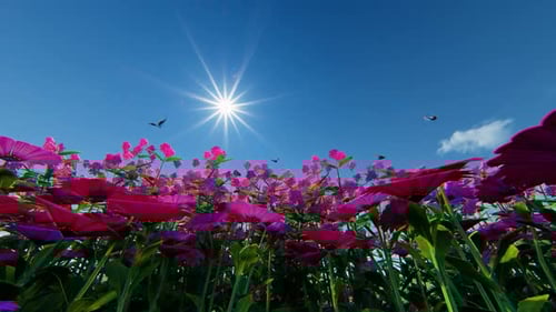 Animated Field of Pink Flowers with Flying Butterflies and Bright Sun