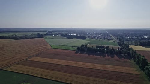 Wheat Field Top View