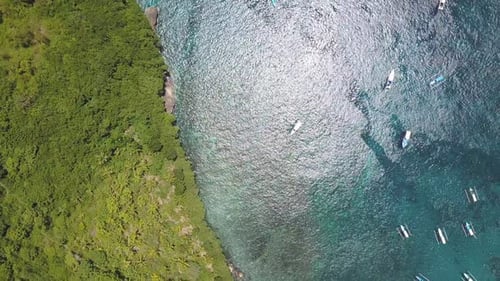 Ocean Bay and Tropical Coast