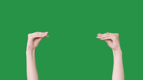 Hands Gesturing Size Against Green Screen Background