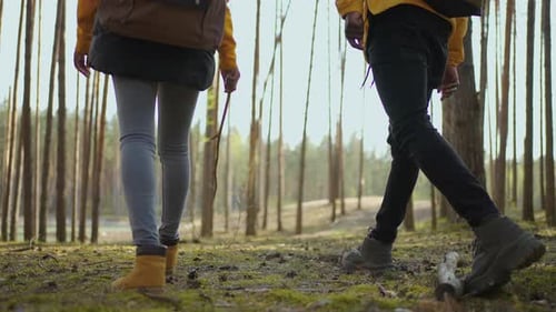 Hikers Walking in Forest