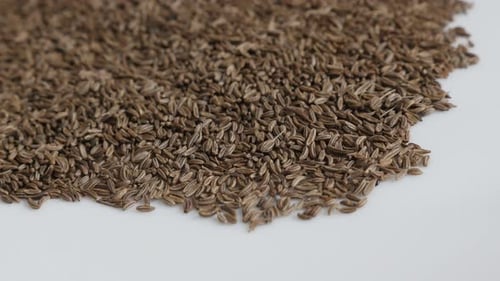 Haufen 4K-Schwenk-Aufnahmen von Meridian-Fenchelsamen