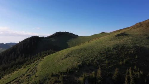 Mountain Landscape With Pine Forest