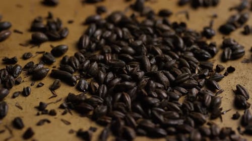 Tiro rotativo de cevada e outros ingredientes de fabricação de cerveja