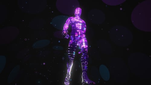 Vj Schleife 95