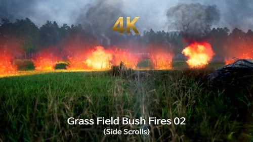 Grass Field Bush Fires 02 (Side Scrolls)