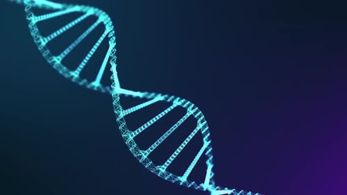 Rotating Digital DNA Helix for Science and Technology