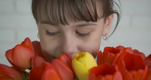 Happy Child Smelling Red and Yellow Tulips
