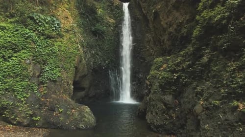 Lush Tropical Waterfall in Verdant Setting