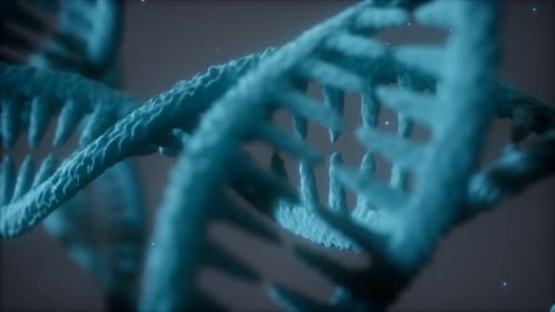 Double Helical Structure of Dna Strand Closeup Animation