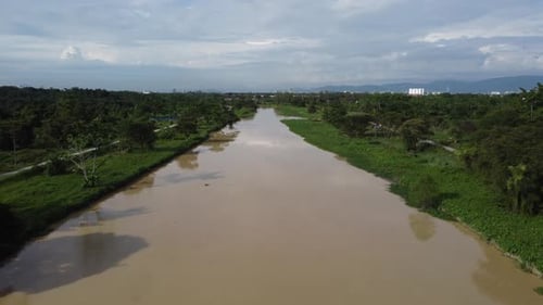 Cinematic move Sungai Perai river of green plantation