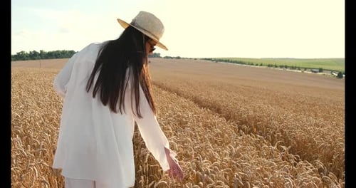 Young Brunette Woman in White Clothes Walking in a Wheat Field
