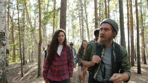 Multiethnic Group of Friends Walking in Forest on Sunny Summer Day Talking Enjoying Trip