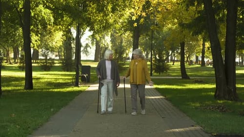 Two Smiling Old Women Talking Walking in Park, Nursing Home for Elderly, Leisure