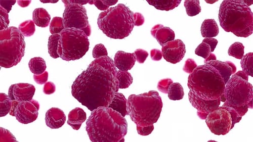 Raspberries Falling on White Background with Alpha Channel