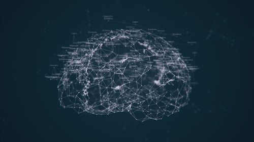 Modèle de cerveau 3D de haute technologie