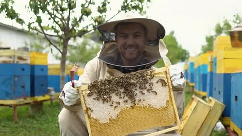 Imker in schützender Arbeitskleidung inspiziert Wabenrahmen im Bienenhaus