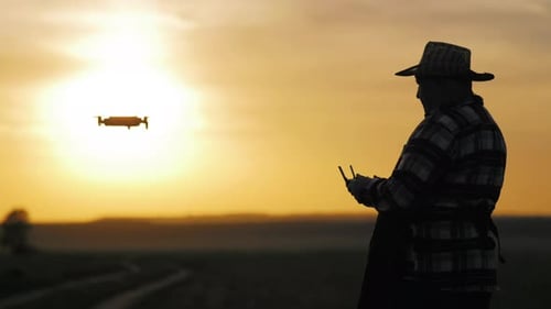 Adult Operating Drone in Field at Sunset
