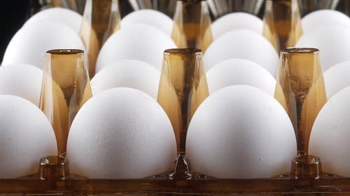 De cerca. Huevos de gallina en recipientes