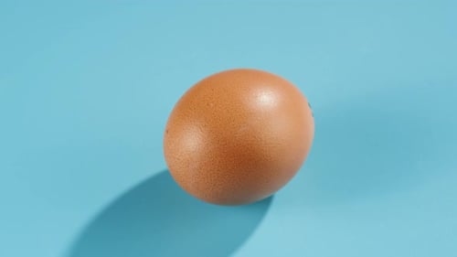 Chicken Egg on Blue Background Top View