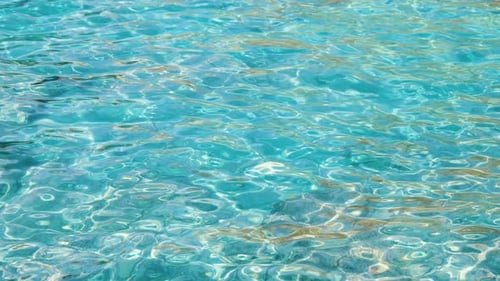 Ocean