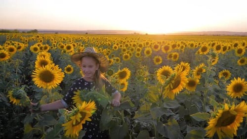 A Happy Little Girl in the Hat Is Smiling at the Field of Sunflowers at Sunset Time