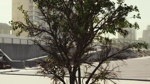Empty Beach Car Park Spaces Covered in Asphalt