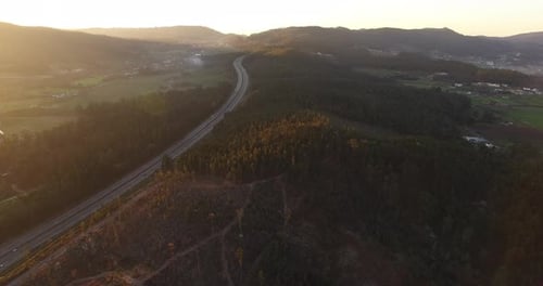 Autopista Hill Forest