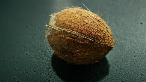 Whole Unpeeled Coconut